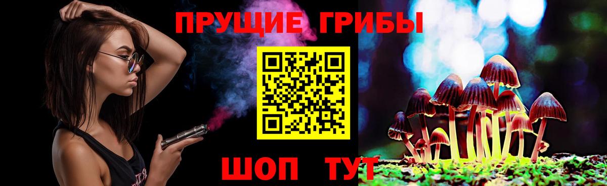 Тихорецк  Псилоцибиновые грибы прущие грибы  Вход с VPN  Псилоцибиновые грибы Psilocybe 