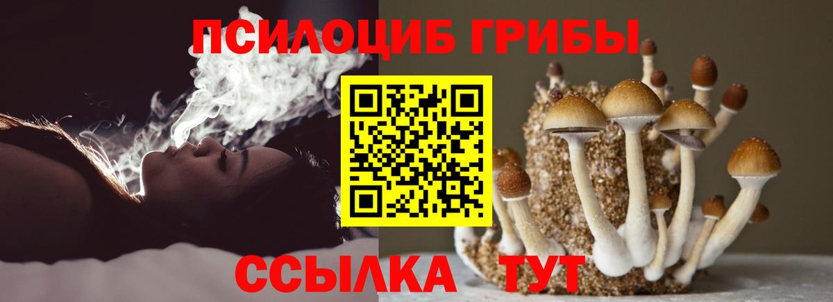 Псилоцибиновые грибы мухоморы Тихорецк